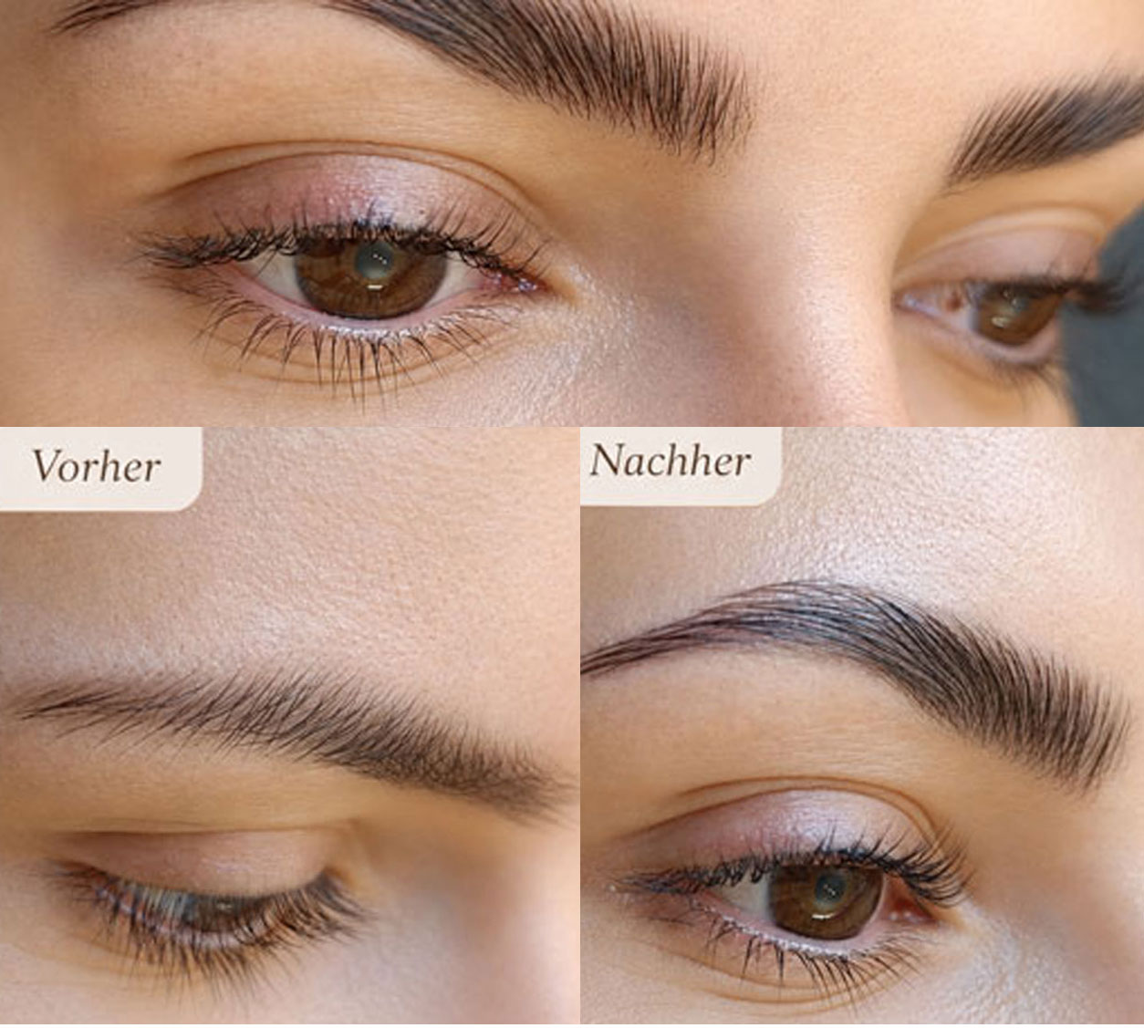 Lash- und Browlifting